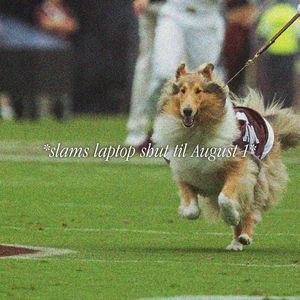 Image post by @aggiebound on Instagram