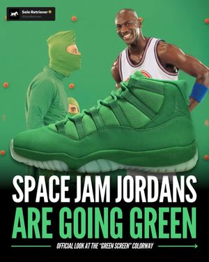 Image post by @soleretriever on Instagram