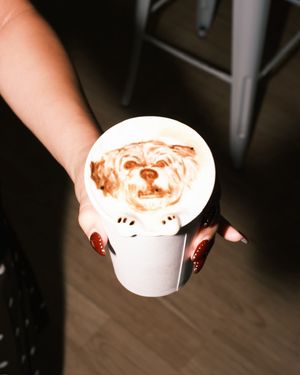 Image post by @solidgoldpets on Instagram