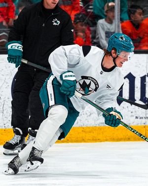 Image post by @NHL on Twitter