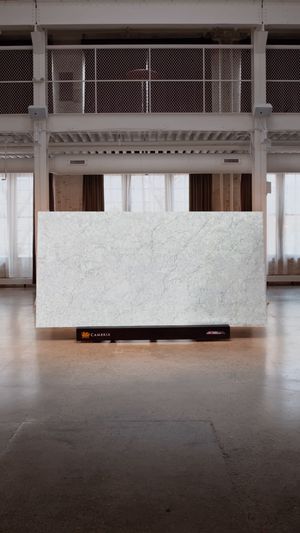 Video post by @ASIDMinnesota on Facebook