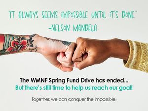 Image post by @WMNFCommunityRadio on Facebook
