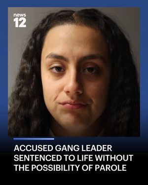 Image post by @news12li on Instagram