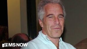 Video post by @msnbc on YouTube