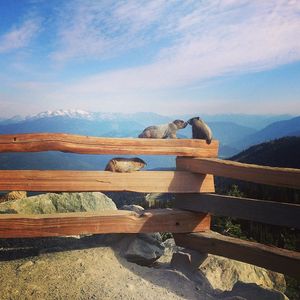 Image post by @whistlerblackcomb on Instagram