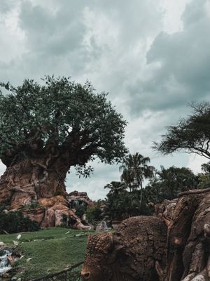 Image post by @azaccardo on Instagram