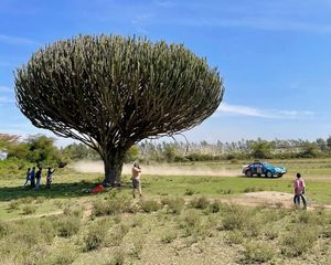 Image post by @kblock43 on Instagram