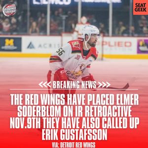 Image post by @redwingscoverage on Instagram