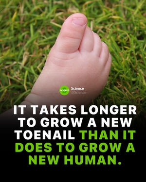 Image post by @science on Instagram