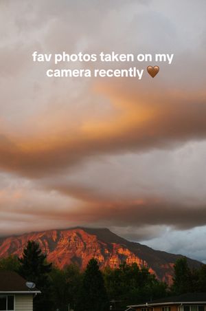 Video post by @natalieseelyy on TikTok