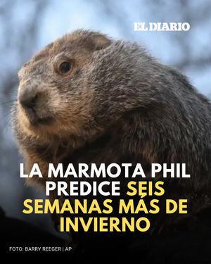 Image post by @eldiariony on Instagram
