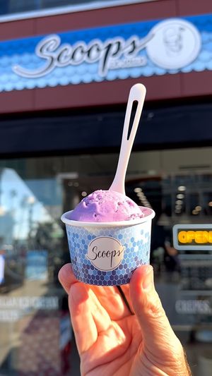 Video post by @ScoopSanDiego on Facebook