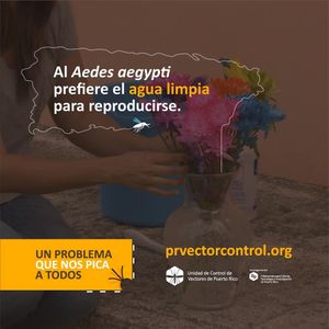 Image post by @prvectorcontrol on Instagram