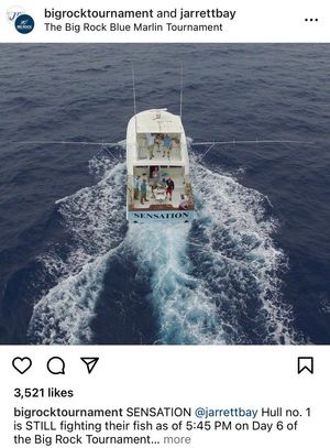 Image post by @RCorySmith on Twitter