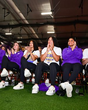 Image post by @lsusoftball on Instagram