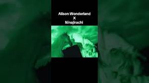 Video post by @alisonwonderland on YouTube