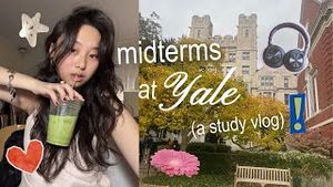 Video post by @mildredsauce on YouTube