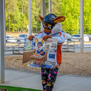 Image post by @swamprabbits on Instagram