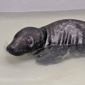 Image post by @foxweather on Instagram