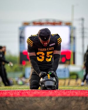 Image post by @hamiltontigercats on Instagram