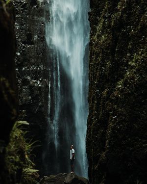 Image post by @griffingibson_ on Instagram