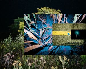 Image post by @williamslenses on Instagram