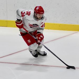 Image post by @usphlhockey on Instagram
