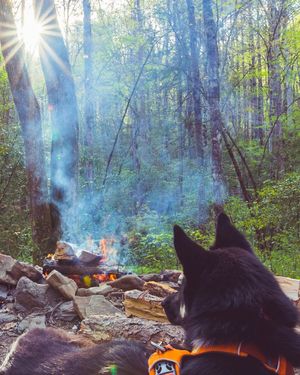 Image post by @wandernorthga on Instagram
