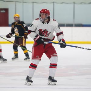 Image post by @davenport_d1hockey on Instagram
