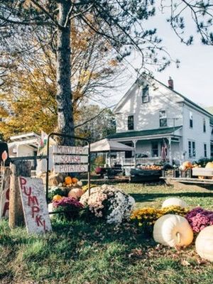 Image post by @themainemag on Instagram