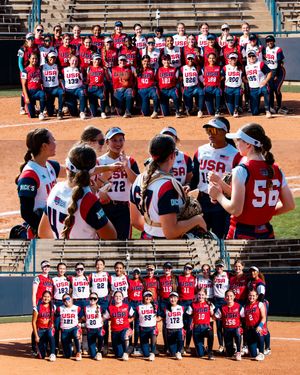 Image post by @usasoftball on Instagram