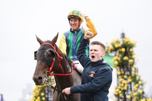 Image post by @flemingtonvrc on Instagram