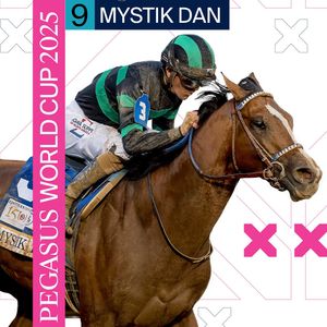 Image post by @pegasusworldcup on Instagram