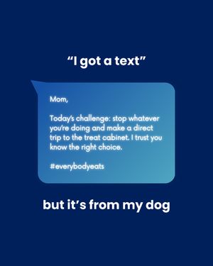 Image post by @solidgoldpets on Instagram