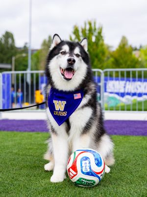 Image post by @uwathletics on Instagram