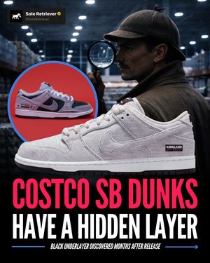 Image post by @soleretriever on Instagram