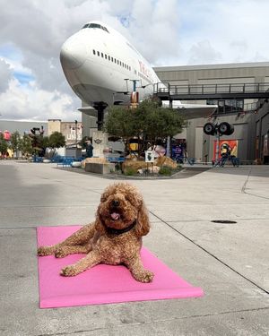 Image post by @area15eat.drink.do on Instagram