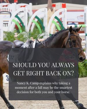 Image post by @theplaidhorsemag on Instagram