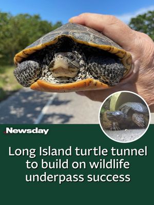 Image post by @newsday on Instagram