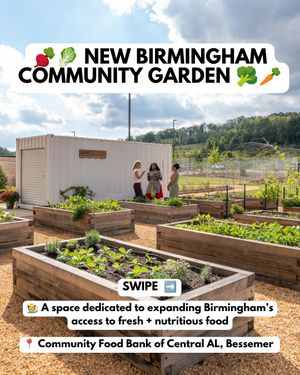 Image post by @bhamnow on Instagram
