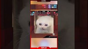 Video post by @overwatchleague on YouTube