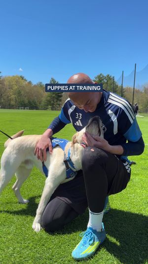 Video post by @nerevolution on TikTok