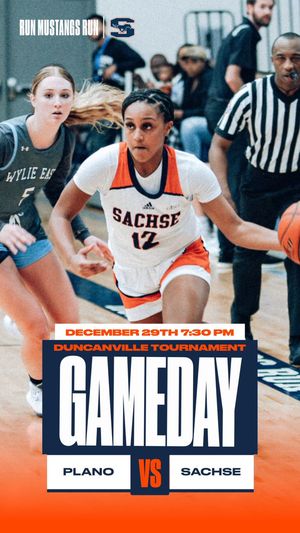 Image post by @sachsegbb on Twitter