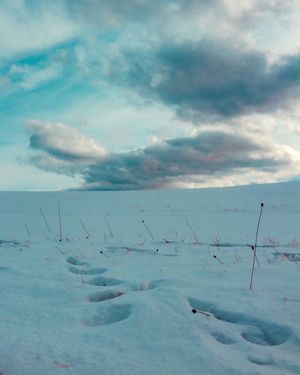 Image post by @cristan.nature.photography on Instagram