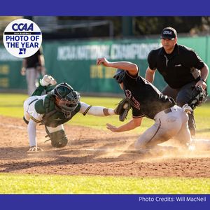 Image post by @ccaad2 on Instagram