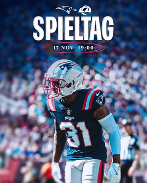 Image post by @patriotsdeutschland on Instagram