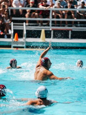 Image post by @santaclaramwp on Instagram