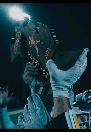 Video post by @officialdreffects on TikTok