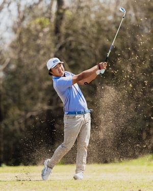 Image post by @nicoklementzos on Instagram