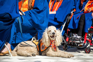 Image post by @illinois_alumni on Instagram